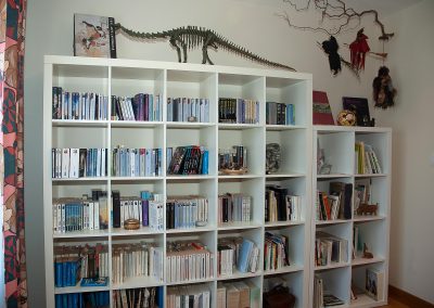 apres-bibliothèque-cabinet-curiosites-lise-loncan-chambery-2019-1